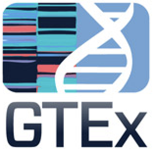 GTEx